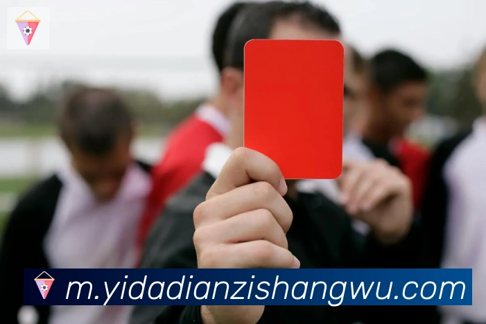 博亚app官网登录入口服务体系