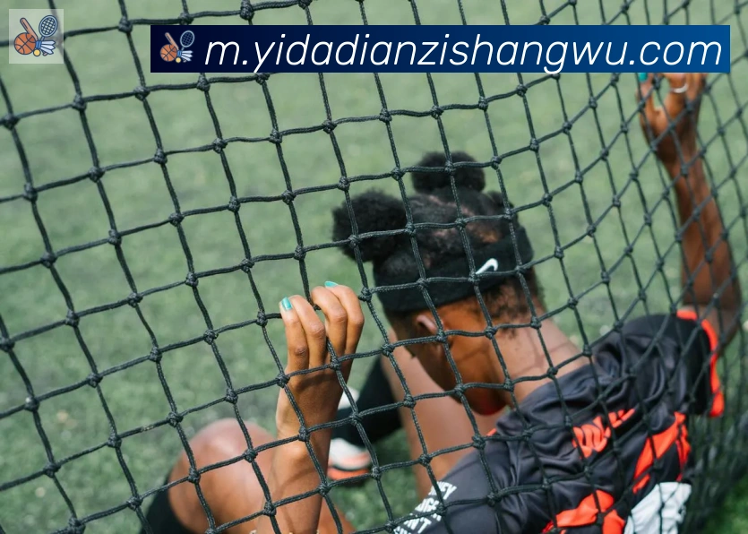 App Interface Preview